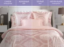 Комплект постельного белья. Ecotex. Эстетика. Жерминаль. купить Комплект постельного белья. Ecotex. Эстетика. Жерминаль.