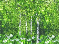 Комплект постельного белья. Арт-постель. Белая березонька. купить Комплект постельного белья. Арт-постель. Белая березонька.