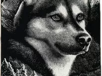 Полотенце. Авангард. Хаски. купить Полотенце. Авангард. Хаски.
