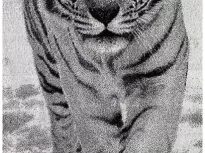 Полотенце. Авангард. Тигр белый. купить Полотенце. Авангард. Тигр белый.